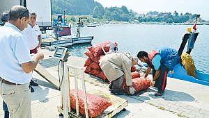 Karadeniz dibinden toplayıp Uzakdoğu'ya satıyorlar