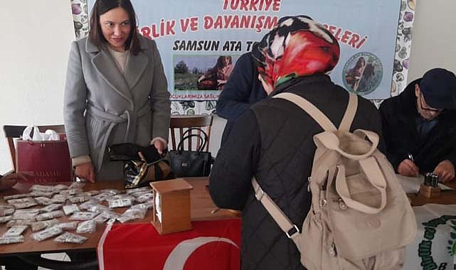 Birlik ve Dayanışma Bahçeleri, Samsun'da Ata Tohumları ile yeniden filizleniyor