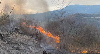 Karadeniz'de orman yangınında 1 hektar alan küle döndü