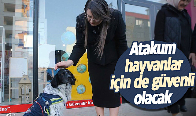 Özlem Maraş: Atakum hayvanlar için de güvenli olacak