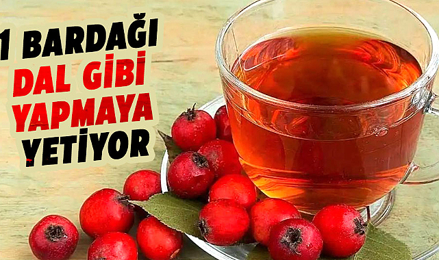 Alıç Çayı: Doğanın kilo verdiren şifası