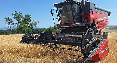 Bafra Ovası'nda arpa ve buğday hasadına başlandı