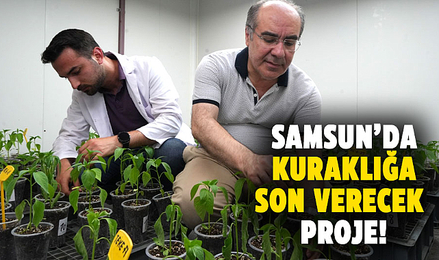 OMÜ'den kuraklığa dayanıklı biber projesi