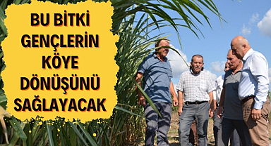 Samsun'da gençlerin köylere dönüşü için bulunmaz bir fırsat