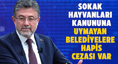 Sokak hayvanları kanununa uymayan belediyelere hapis cezası var