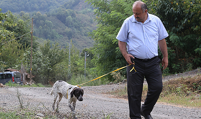 Başkan Karaca hasta köpeğe evini açtı