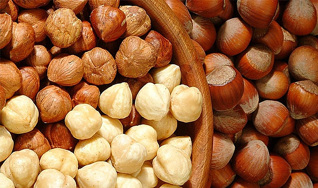 9 Eylül fındık fiyatları ne kadar?
