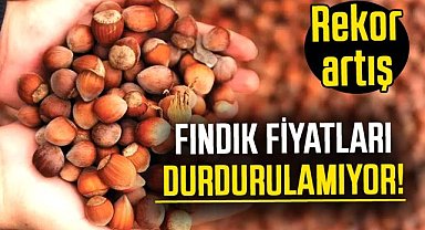 Fındık fiyatları durdurulamıyor! Fındıkta rekor artış