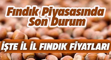 16 Kasım fındık fiyatları ne kadar?