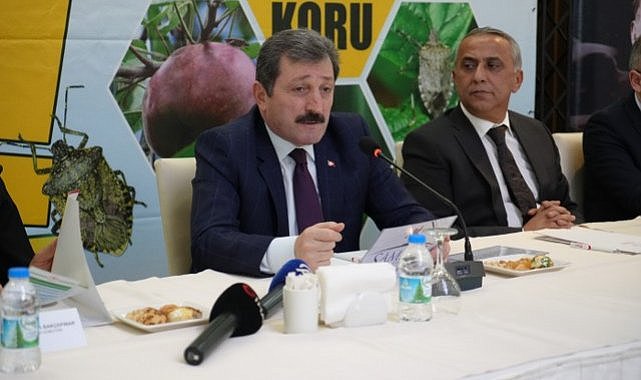 Samsun'da kahverengi kokarca ile mücadele devam ediyor