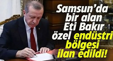 Samsun Tekkeköy'de bulunan alan, Eti Bakır Samsun Özel Endüstri Bölgesi ilan edildi