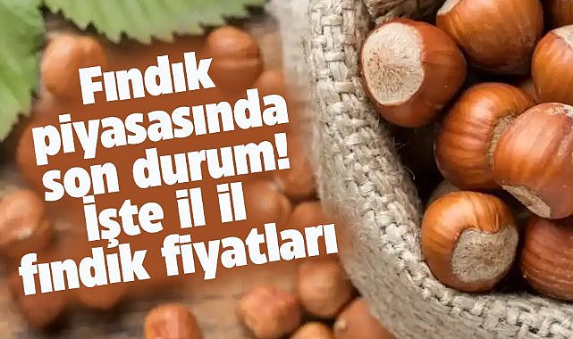 29 Mart fındık fiyatları ne kadar?