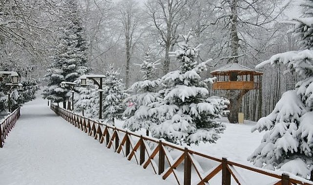 Ordu'da 17 ilçede okullar tatil oldu