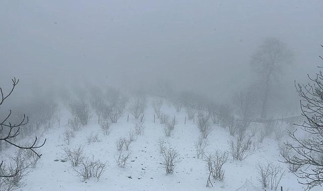 Samsun Çarşamba'da kar yağışı etkili oldu