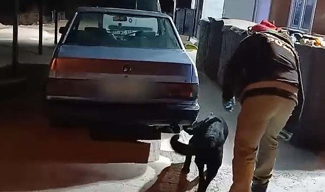 Samsun’da Tony, uyuşturucuyu araçta buldu