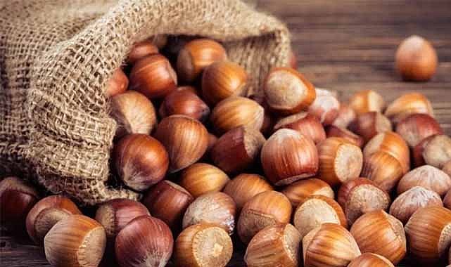 24 Nisan fındık fiyatları ne kadar? 