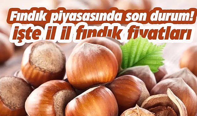 26 Nisan fındık fiyatları ne kadar? 