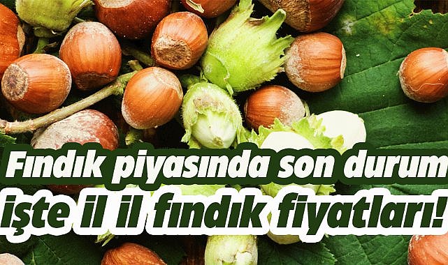 5 Nisan fındık fiyatları ne kadar?