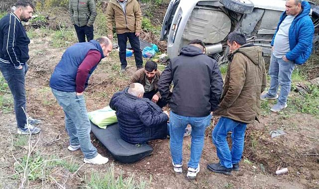 Araç ağaca saplandı
