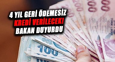 Bu yerlerde oturanlara 4 yıl geri ödemesiz kredi verilecek! Bakan duyurdu