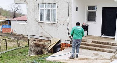 Canik'te kokarca böceğiyle mücadeleye tam not