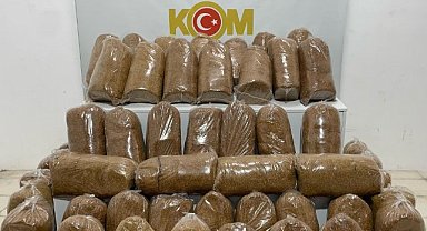 Samsun’da kaçak tütün operasyonu