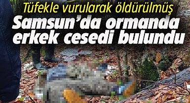 Samsun'da ormanda erkek cesedi bulundu!