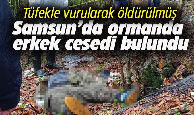 Samsun'da ormanda erkek cesedi bulundu!