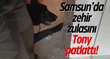 Samsun’da zehir zulasını Tony patlattı!
