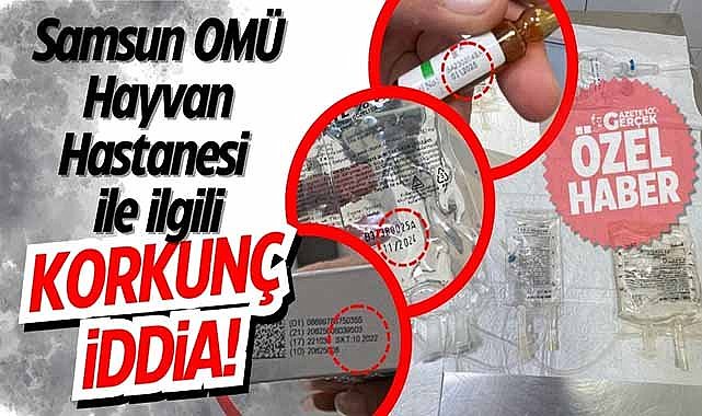 Samsun OMÜ Hayvan Hastanesi ile ilgili korkunç iddia!