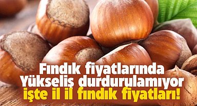 3 Mayıs fındık fiyatları ne kadar? 