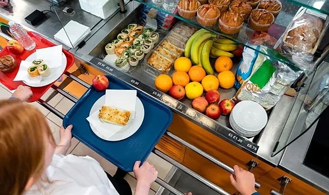 Öğrencilerin ücretsiz okul yemeğinde ölü yılan çıktı! 100’den fazla öğrenci zehirlendi