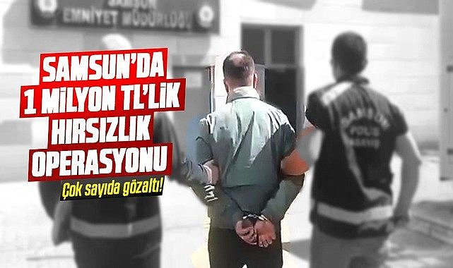 Samsun'da 1 milyon TL'lik hırsızlık operasyonu: 6 şüpheli yakalandı