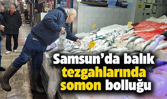 Samsun'da somon balığına yoğun ilgi