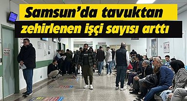 Samsun'da tavuktan zehirlenen işçi sayısı 188'e yükseldi