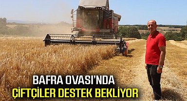 Bafra Ovası'nda çiftçiler destek bekliyor