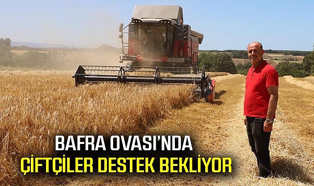 Bafra Ovası'nda çiftçiler destek bekliyor