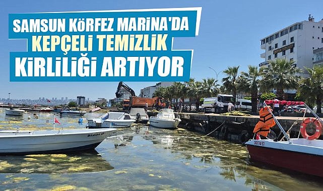 Samsun Körfez Marina'da kepçeli temizlik kirliliği artırıyor