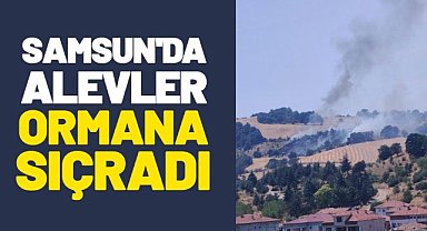 Samsun'da alevler ormana sıçradı