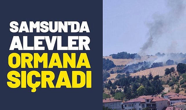 Samsun'da alevler ormana sıçradı