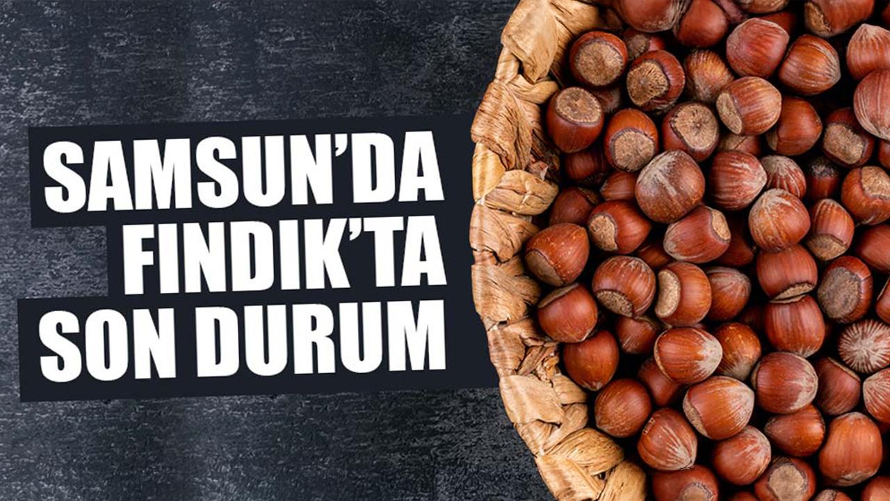 9 Mart Pazartesi fındık fiyatları ne kadar? Samsun'da fındık fiyatları yükseliyor mu? Samsun fındık fiyatları