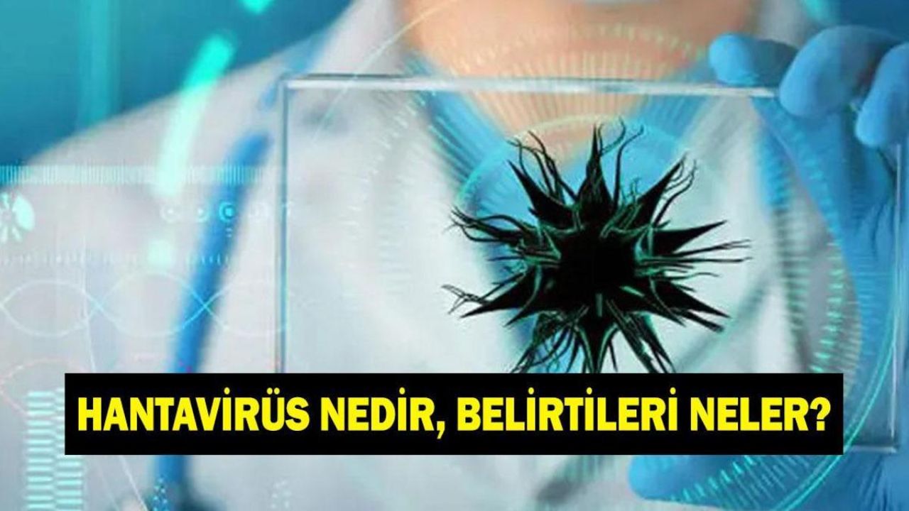 Hantavirüs nedir, belirtileri neler? Hantavirüs bulaşıcı mı?
