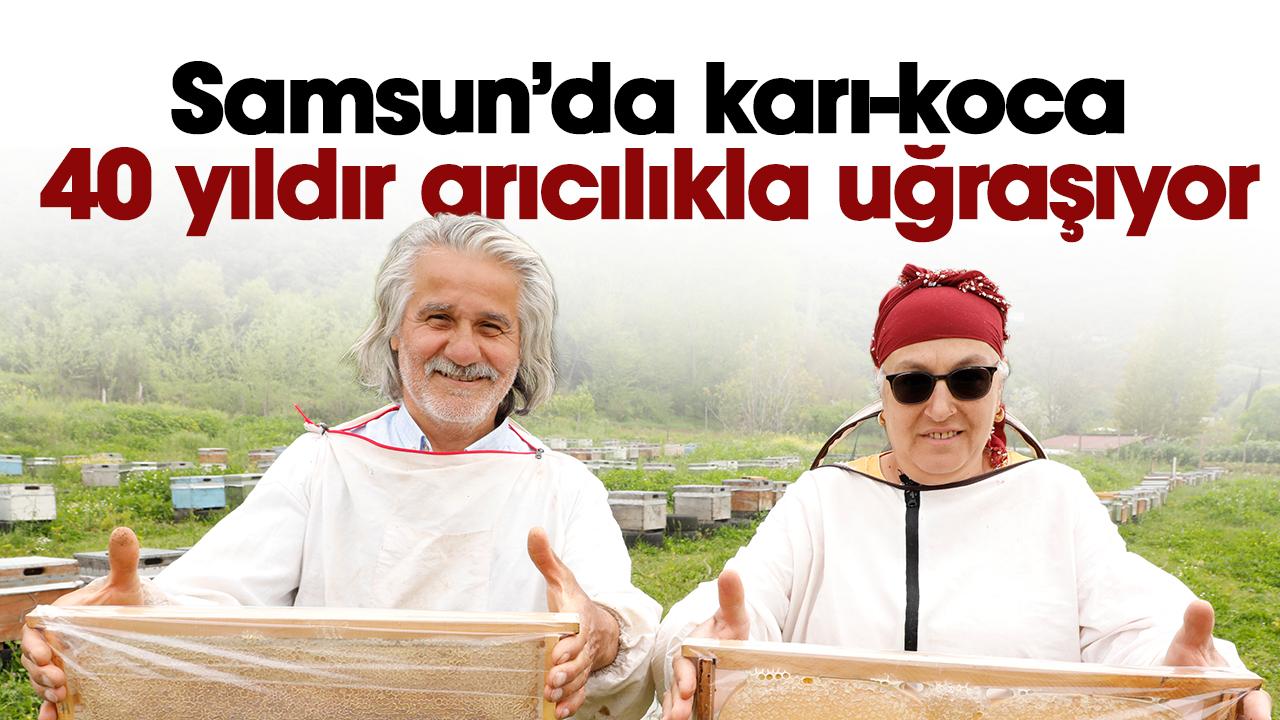 Samsun'da Recep - Hatice Kilim çifti 40 yıldır omuz omuza arıcılık yapıyor