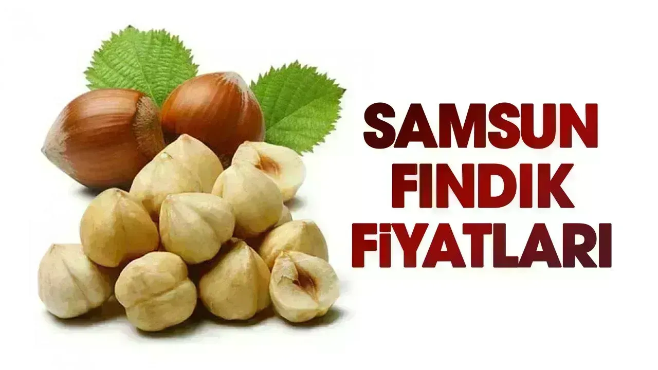 25 Haziran Perşembe fındık fiyatları ne kadar? Samsun fındık fiyatları düşüyor mu? - gazetegercek.com.tr
