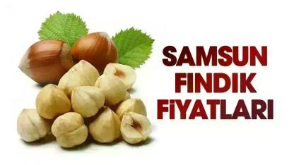 14 Temmuz Salı fındık fiyatları ne kadar? Samsun fındık fiyatları düşüyor mu?