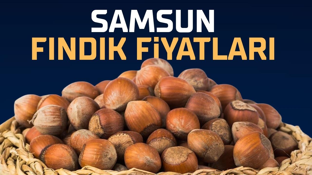 5 Temmuz Pazar fındık fiyatları ne kadar? Samsun fındık fiyatları düşüyor mu?