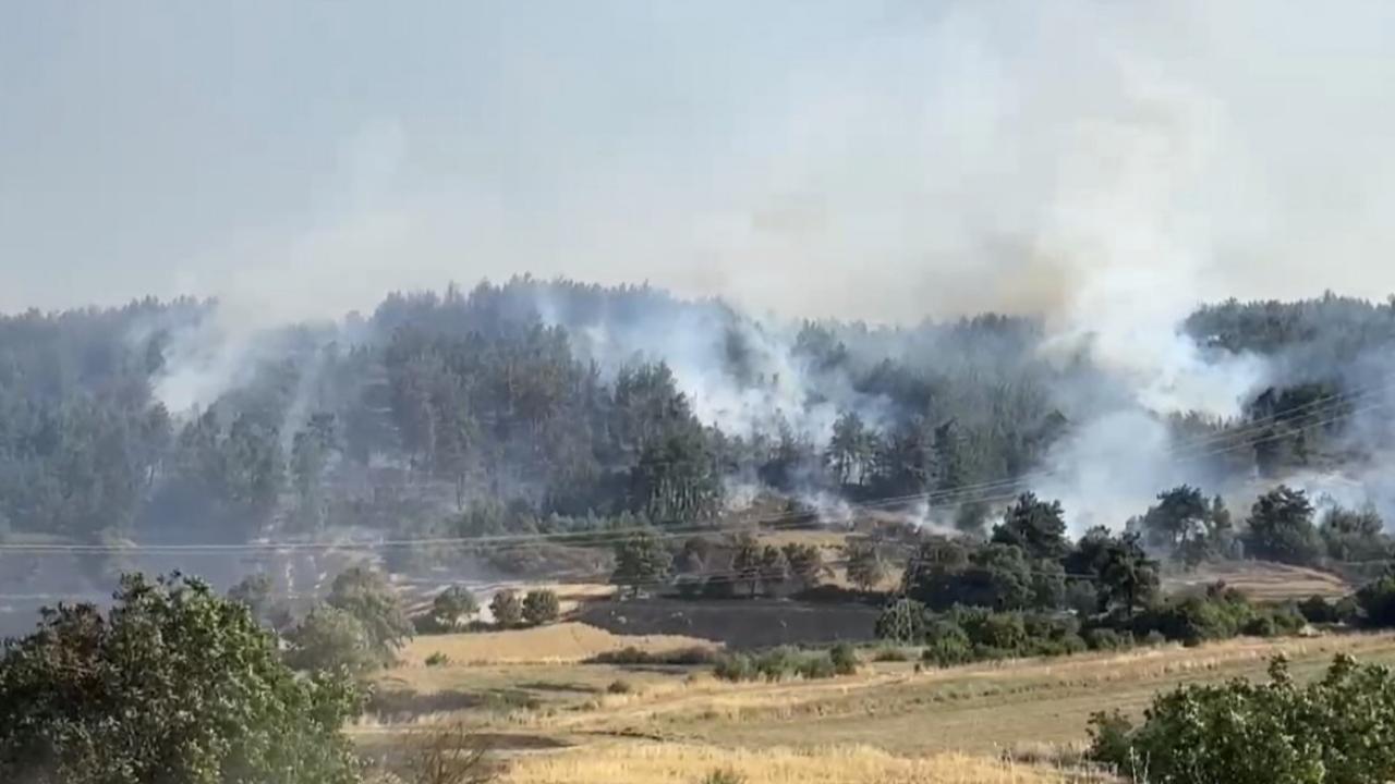 Balıkesir'de orman yangını! müdahale sürüyor