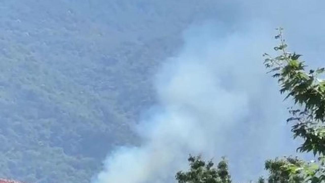 Bursa Kestel'de ormanında yangın çıktı