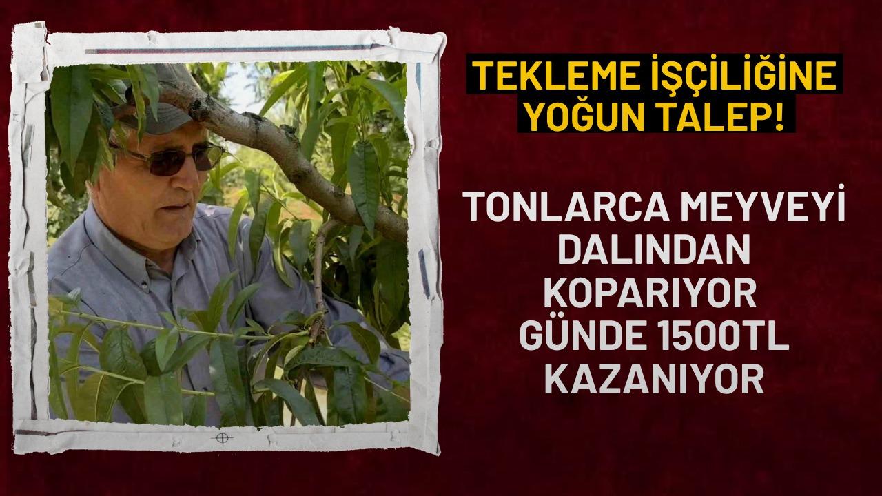 Bursa'da tekleme işçilerine yoğun talep: Günlük 1.500 lira kazanıyorlar