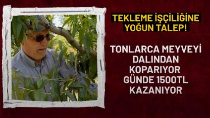 Bursa'da tekleme işçilerine yoğun talep: Günlük 1.500 lira kazanıyorlar